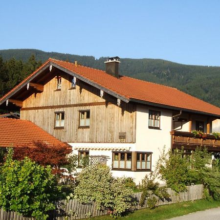 Apartment Andrea - Chiemgau Karte Inzell Dış mekan fotoğraf