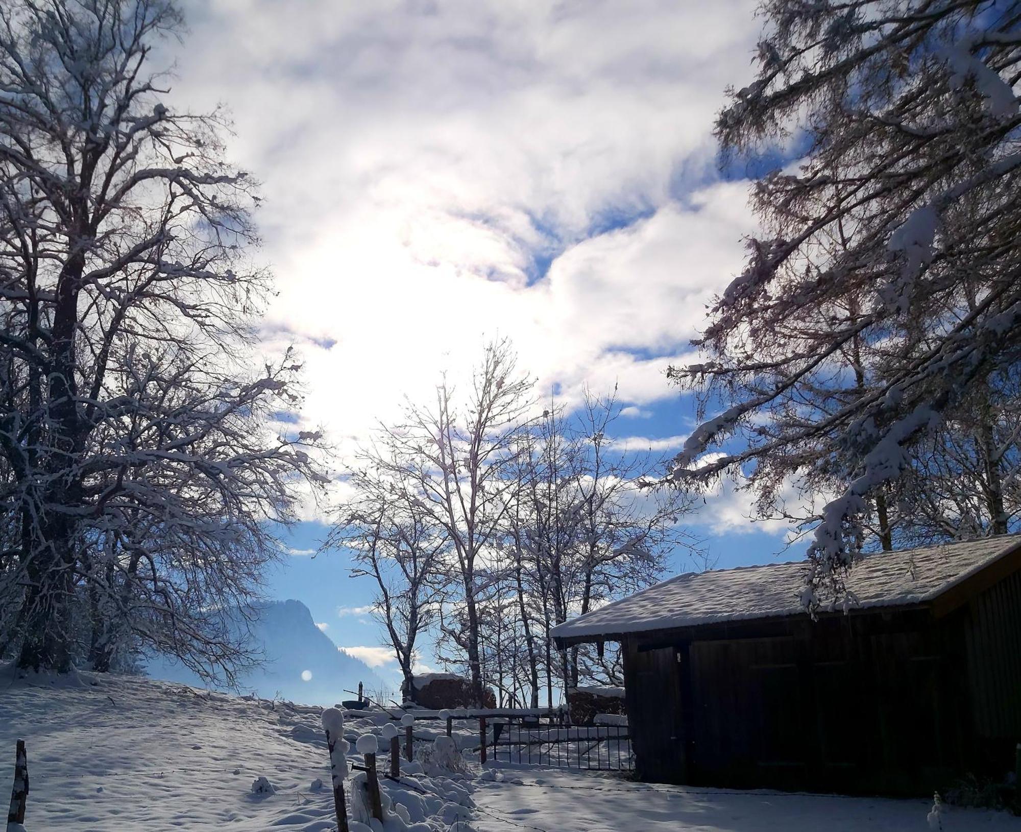 Apartment Andrea - Chiemgau Karte Inzell Dış mekan fotoğraf