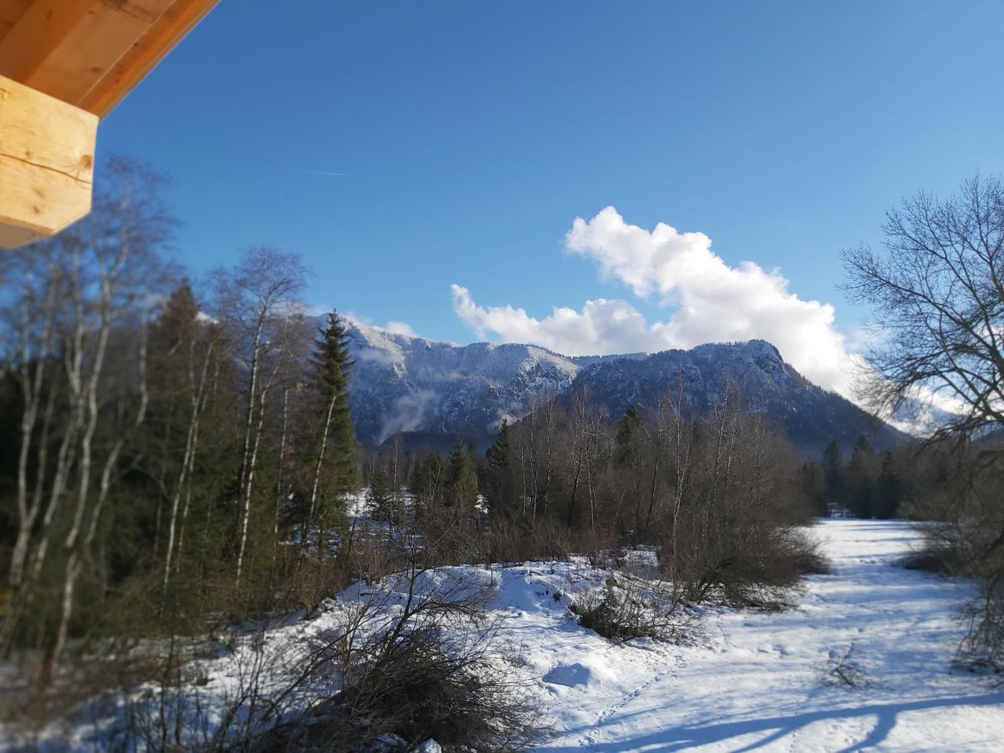 Apartment Andrea - Chiemgau Karte Inzell Dış mekan fotoğraf