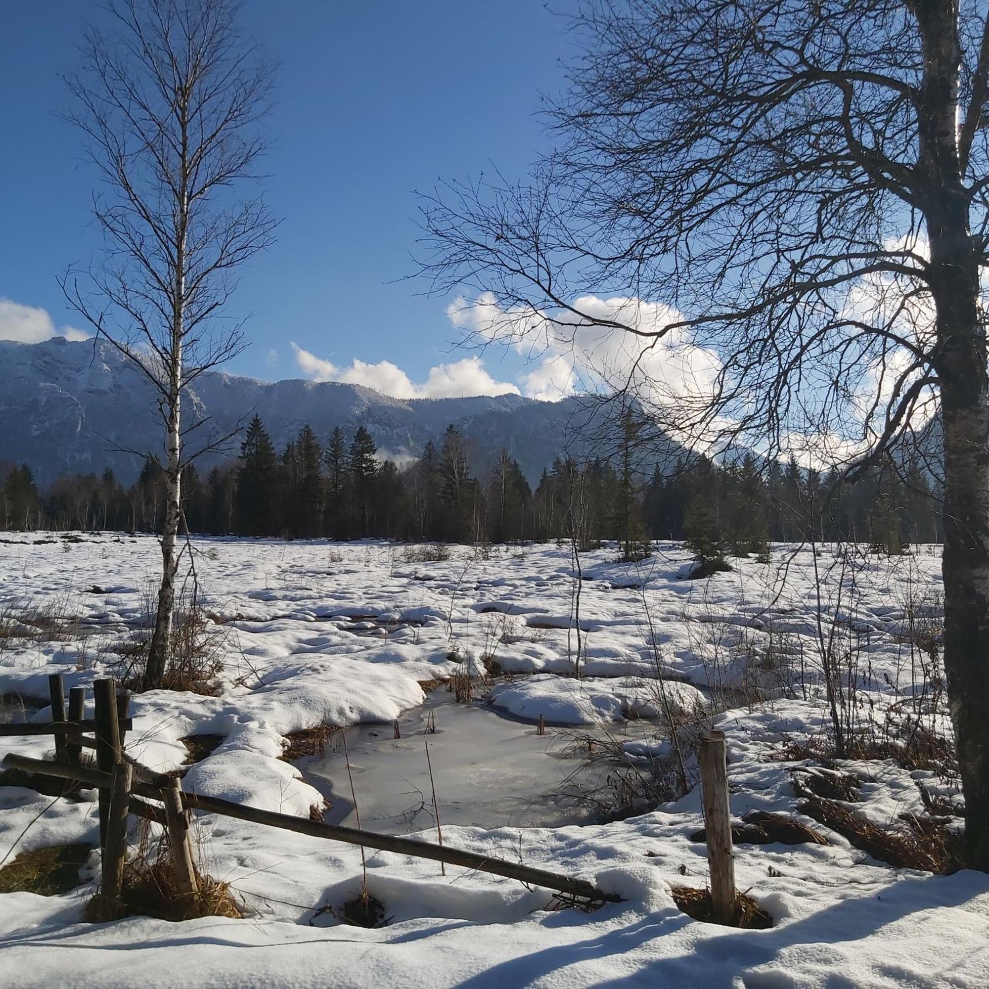 Apartment Andrea - Chiemgau Karte Inzell Dış mekan fotoğraf