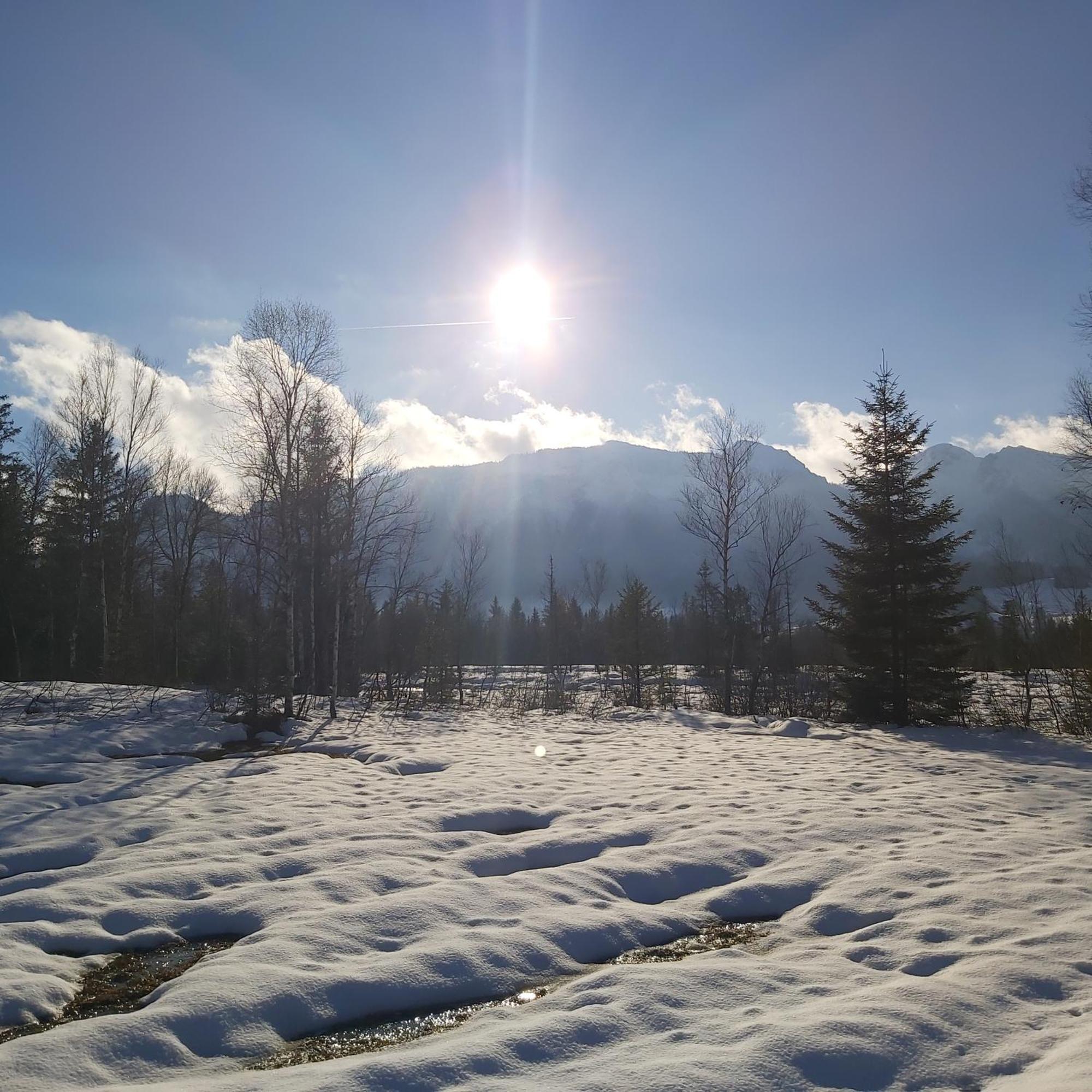 Apartment Andrea - Chiemgau Karte Inzell Dış mekan fotoğraf