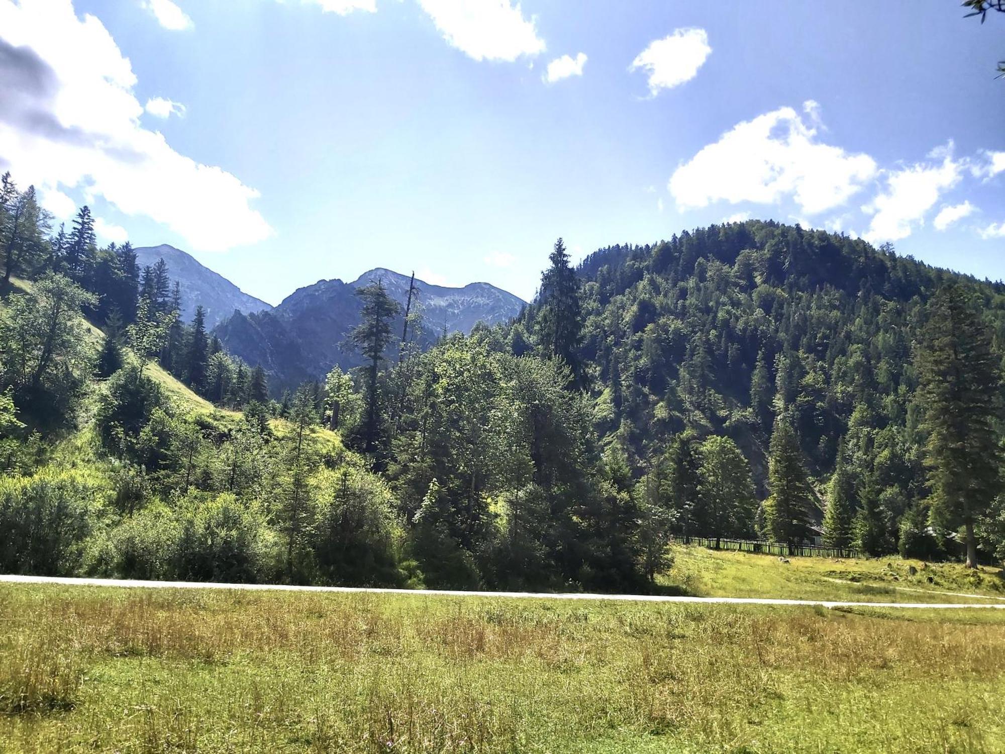 Apartment Andrea - Chiemgau Karte Inzell Dış mekan fotoğraf