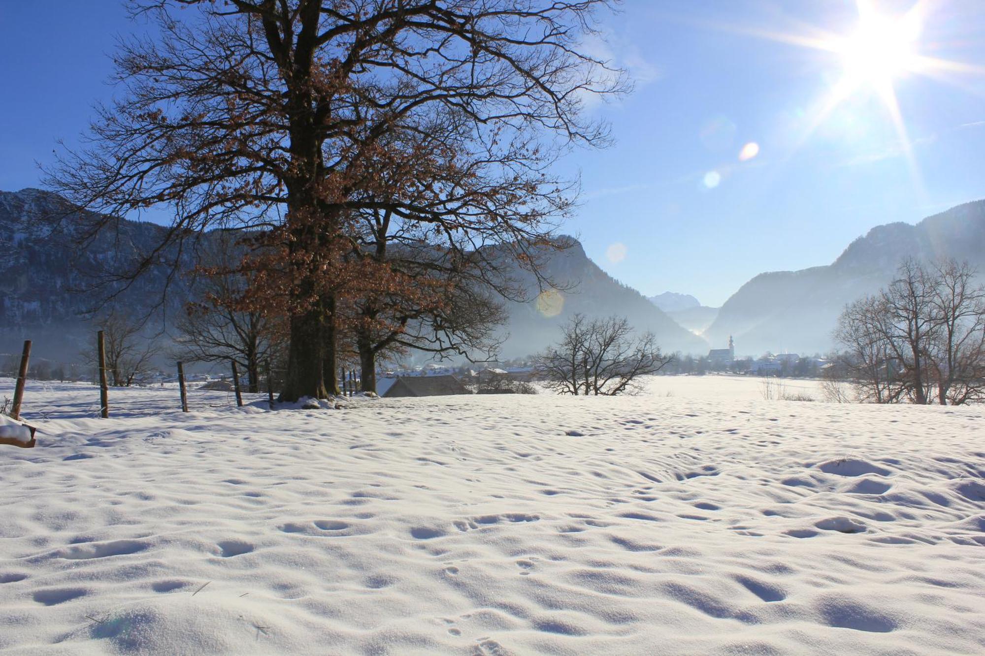 Apartment Andrea - Chiemgau Karte Inzell Dış mekan fotoğraf