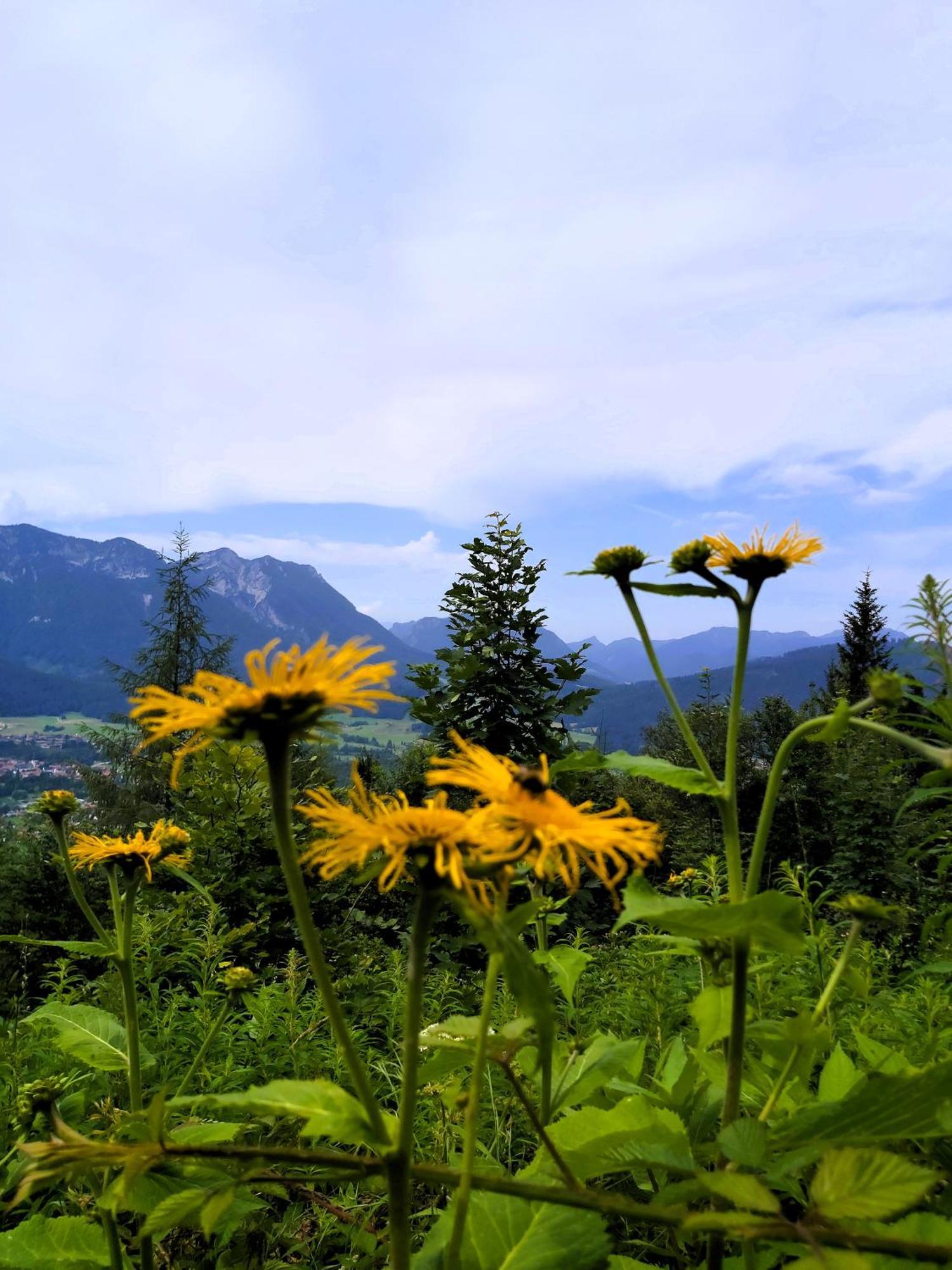 Apartment Andrea - Chiemgau Karte Inzell Dış mekan fotoğraf