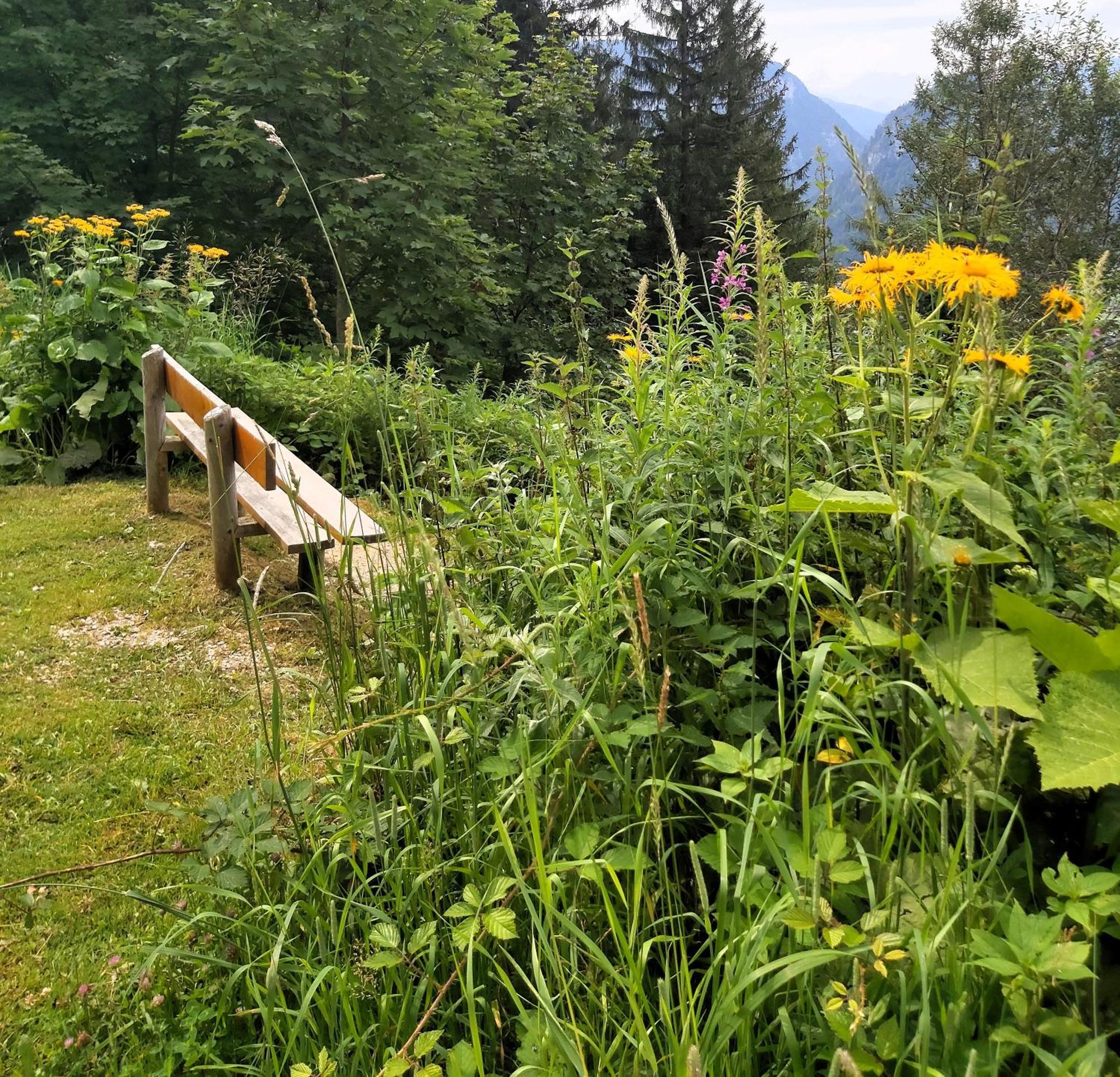 Apartment Andrea - Chiemgau Karte Inzell Dış mekan fotoğraf