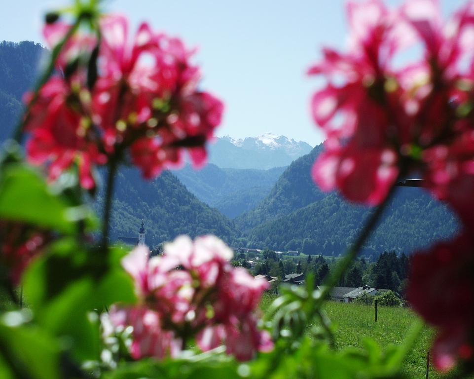 Apartment Andrea - Chiemgau Karte Inzell Dış mekan fotoğraf