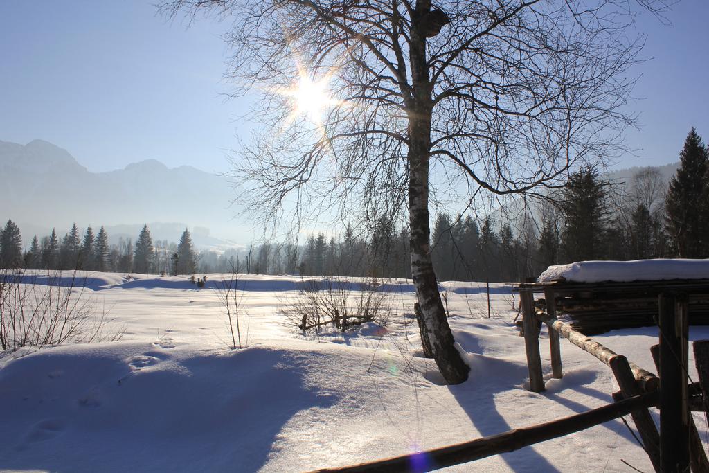 Apartment Andrea - Chiemgau Karte Inzell Dış mekan fotoğraf