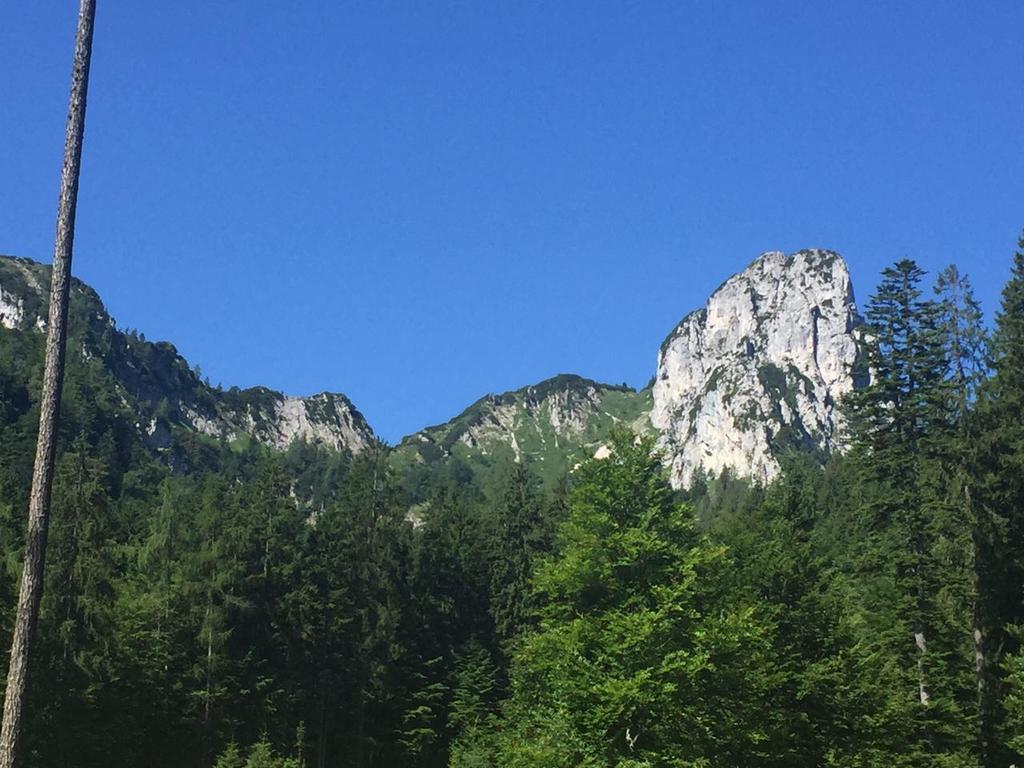 Apartment Andrea - Chiemgau Karte Inzell Dış mekan fotoğraf