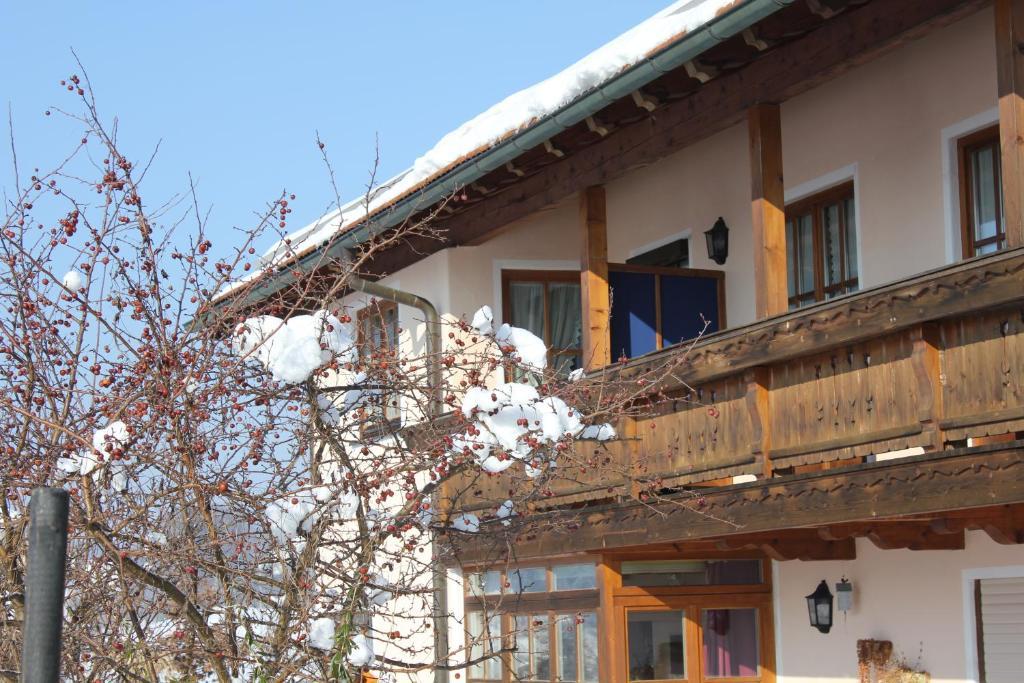 Apartment Andrea - Chiemgau Karte Inzell Dış mekan fotoğraf